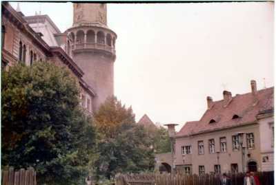 Picture scanning software revitalized photo - colors are now vivid
